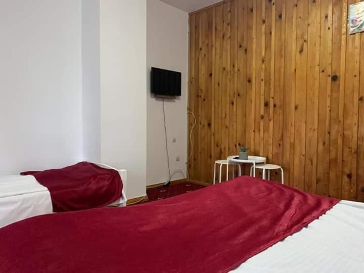 Vila Sofia Predeal Luaran gambar