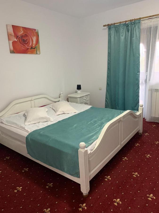 Vila Sofia Predeal Luaran gambar