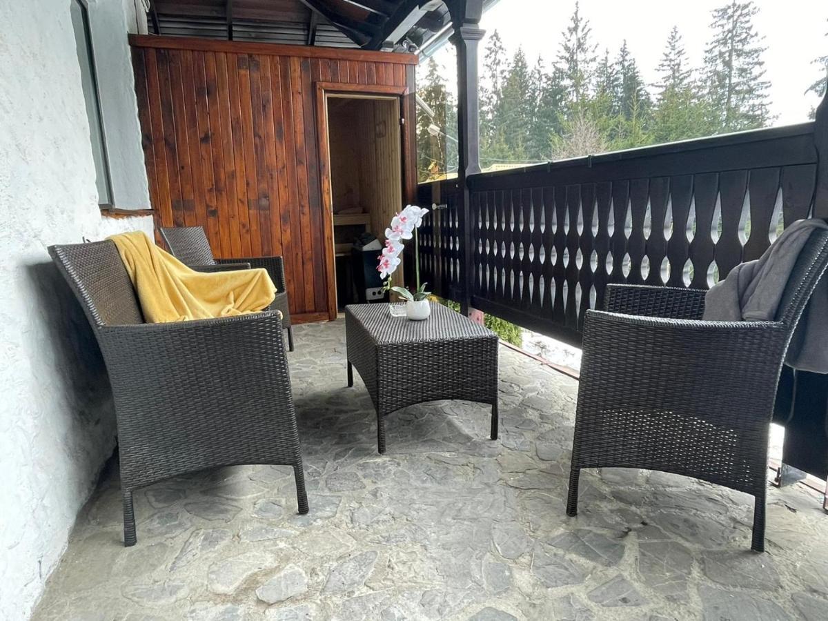 Vila Sofia Predeal Luaran gambar