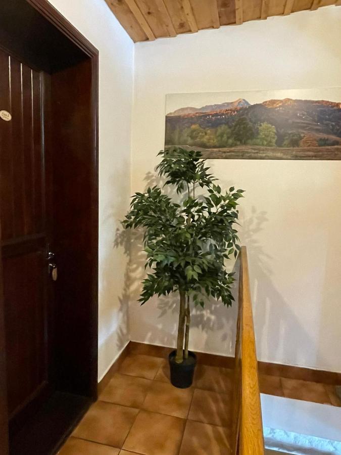 Vila Sofia Predeal Luaran gambar